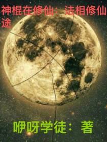 神棍在修仙：法相修仙途