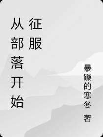 从部落开始征服