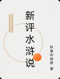 新评水浒说