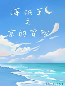 海贼王之京的冒险