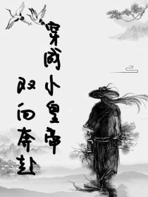 穿成小皇帝双向奔赴