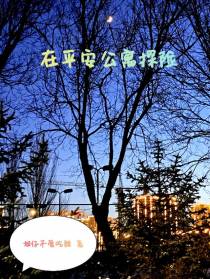 在平安公寓探险