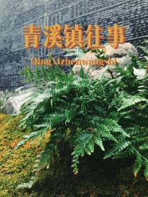 青溪镇往事