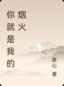 你就是我的烟火