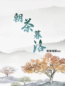 朝茶暮洛