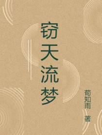 窃天流梦