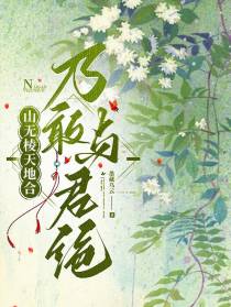 山无棱天地合乃敢与君绝