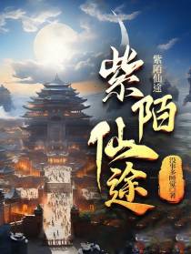 紫陌仙途