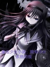 魔法少女小圆：拥有月计系统的我