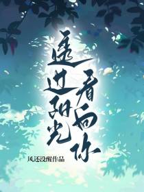 透过阳光看向你