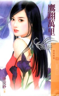 鹰翔万里