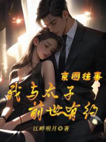 京圈往事：我与太子前世有约