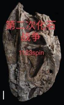 第二次化石战争