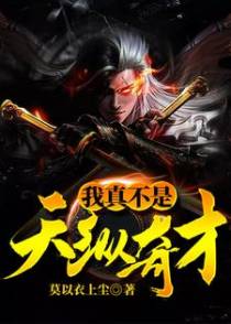 我真不是天纵奇才