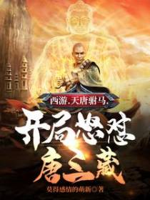 西游.天唐驸马.开局怒怼唐三藏