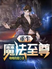 重生魔法至尊