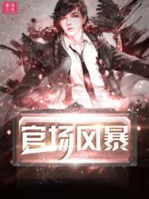 官场风暴