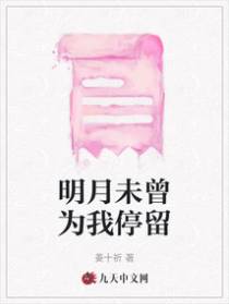 明月未曾为我停留