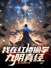 我在红楼偷学九阴真经