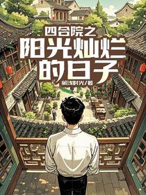 四合院之阳光灿烂的日子